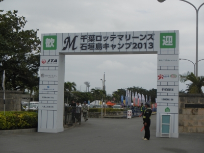 プロ野球キャンプイン