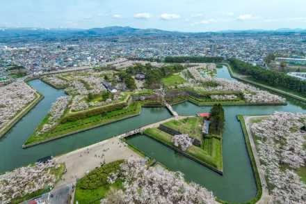 道南【五稜郭公園】の桜