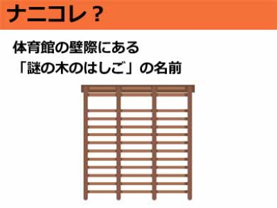 体育館の壁際にある「謎の木のはしご」 