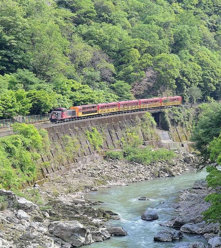 保津峡渓谷を走行する嵯峨野観光鉄道のトロッコ列車