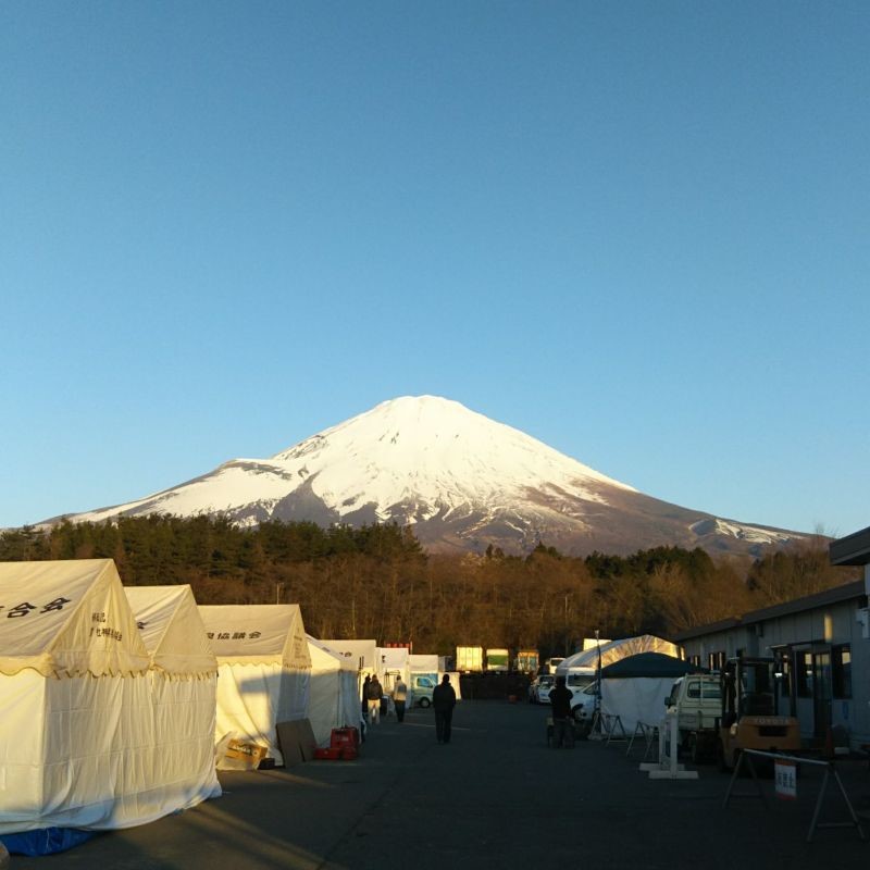 富士山